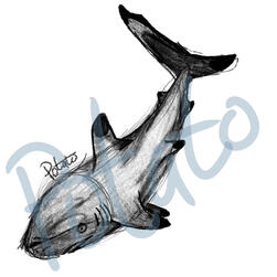 Realism Sketch - 20$